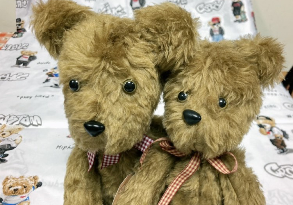 Varró workshopok – Mackó műhely 