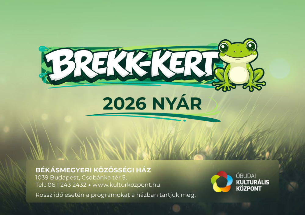 Programfüzet