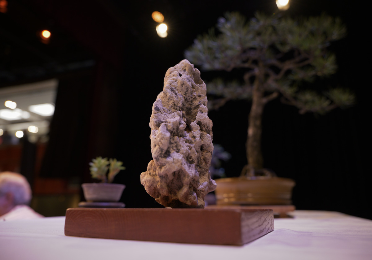 Óbudai ásványbörze és bonsai kiállítás