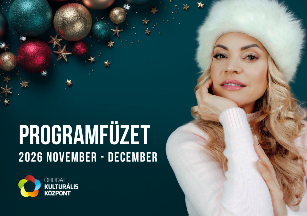 Programfüzet