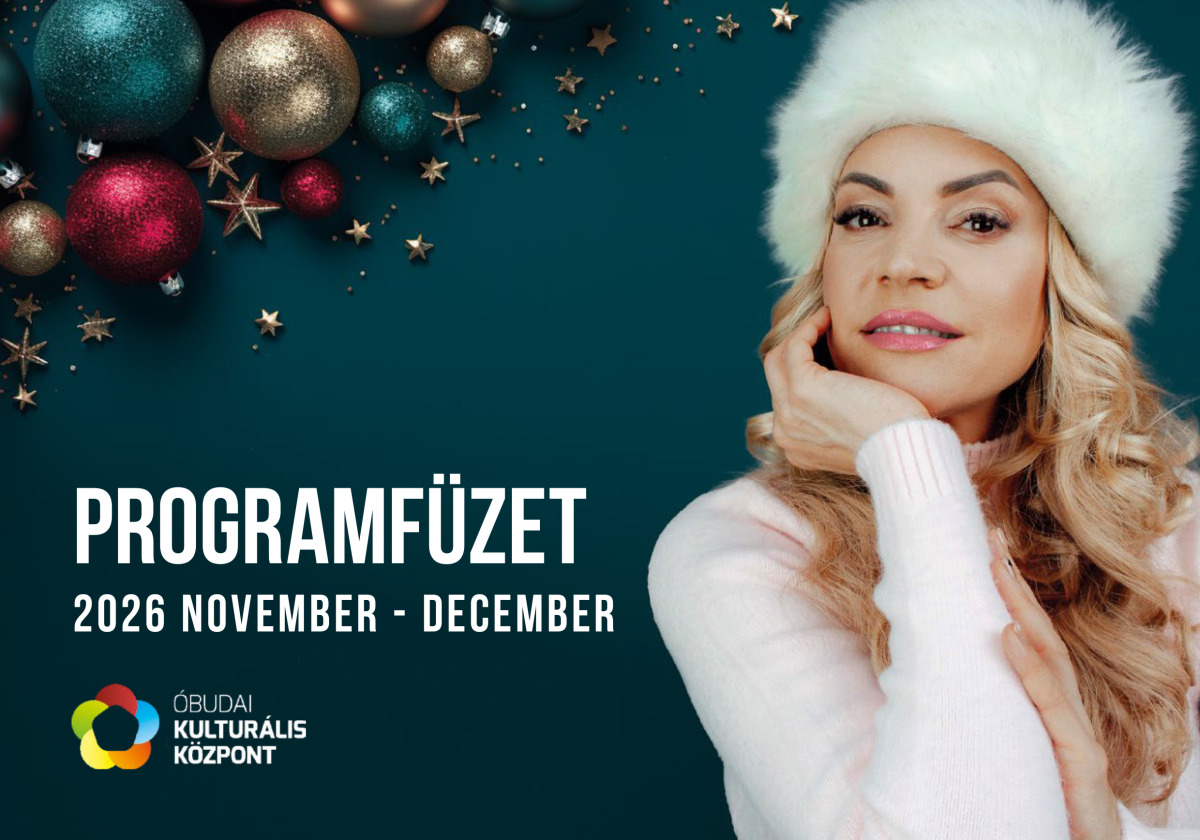 Programfüzet